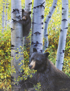 Black Bears in Aspen