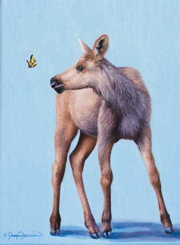 Baby Moose and Butterfly