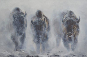 Bison in Mist